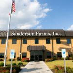 Sanderson Remote Careers Jobs